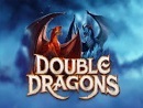 Double Dragons NL1 Slot