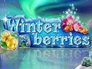 Winter Berries NL1 Slot