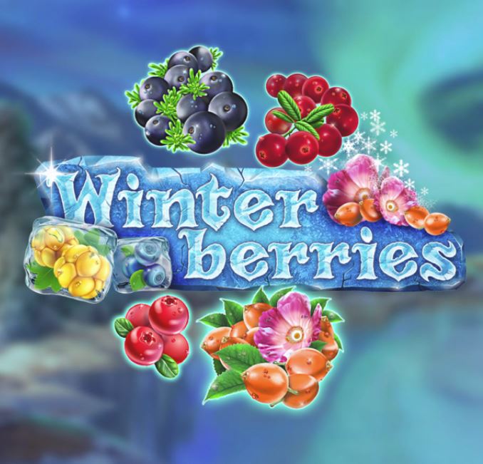 winterberries gokkast